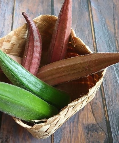 Çiçek bamya ile normal bamya arasındaki fark nedir? Yemeklik olarak sık sık kullandığımız meğer buymuş
