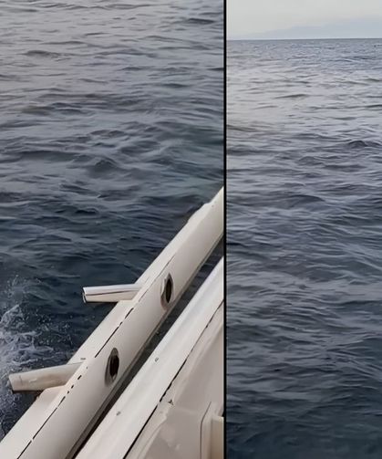İzmir’de balıkçıların ağzı açık kaldı! Dev orkinos 100 bin liralık oltayı alıp kaçtı