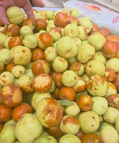 Kilosu 120 TL’ye kadar çıkıyor, tezgahlarda yok satıyor! Pazarın yeni gözdesi 'doktor hünnap'