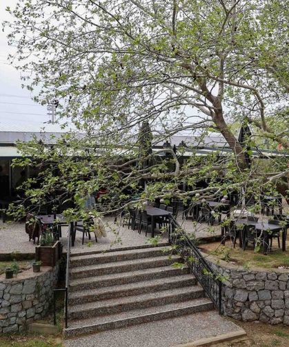 İzmir’de hafta sonu kaçamağı yapmak isteyenlere doğanın içinde özel bir yer! Kahvaltıdan yemeğe her şey var