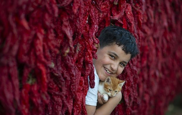 Altınözü'nde kışlık hazırlıkların adresi biber sergileri oldu!