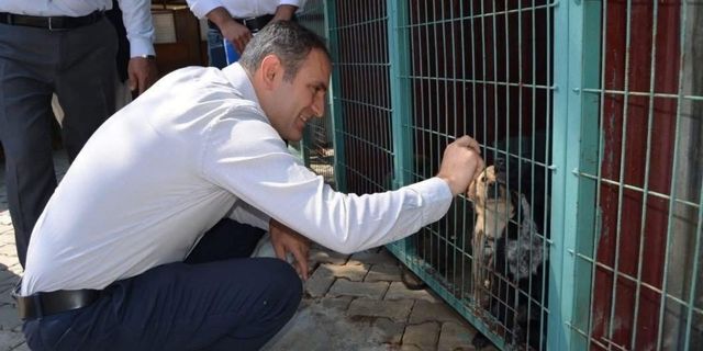 Bayındır’da sahipsiz hayvanlar için yeni adım! Doğal yaşam alanı incelendi