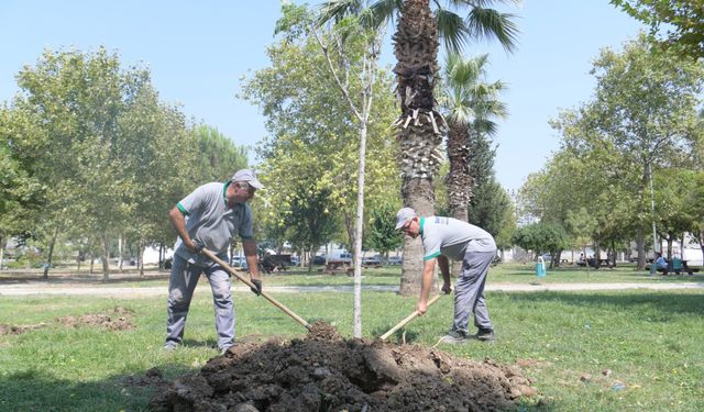 Bornova’da park yenileme hamlesi