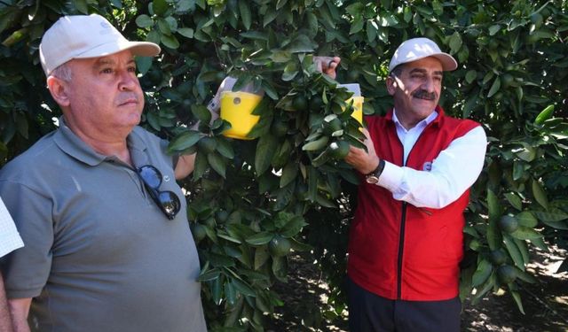 Ege Yaş Meyve Sebze İhracatçıları Birliği Başkanı Uçak: “Kalıntısız ve kaliteli üretim temel şartımız”