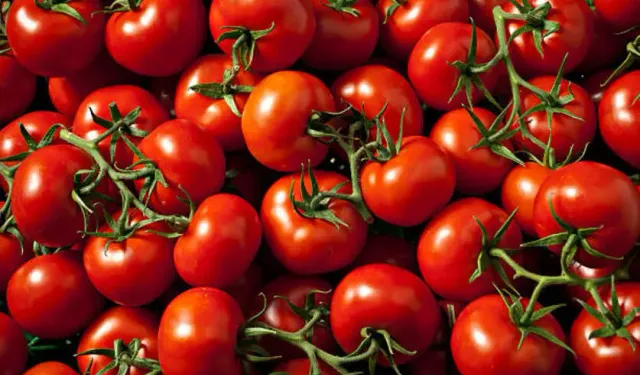 Sürpriz tehlike: Sabah kahvaltısında domates tüketiminin zararları