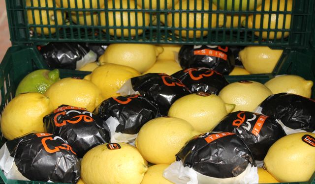 Limon üreticide 3 lira 50 kuruş,  markette 16 lira 73 kuruş!