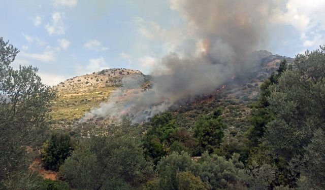 Seydikemer'deki yangından iyi haber! Kontrol altına alındı