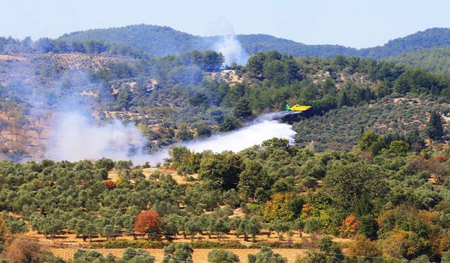 "Ulusal Orman Yangını Tatbikatı" yapıldı