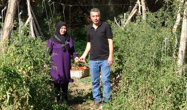 Yozgatlı çift, sağlıklı nesiller için ata tohumu üretiyor