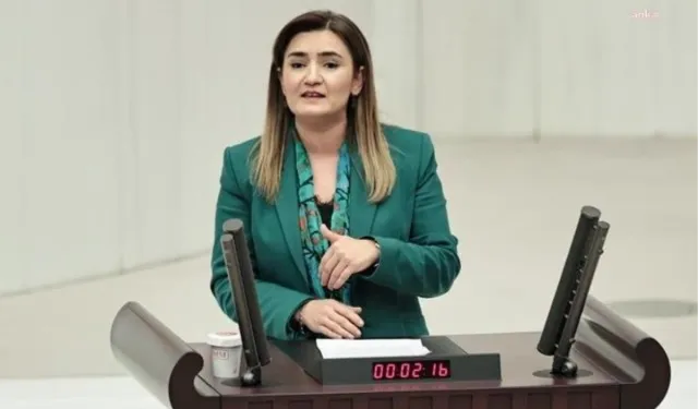 CHP İzmir Milletvekili Sevda Erdan Kılıç: Olayın peşini bırakmayacağım!