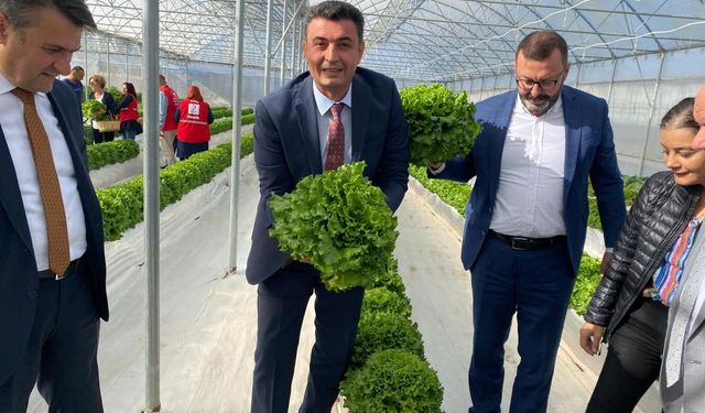 Türkiye'de ilk olan sistemde hasat şenliği
