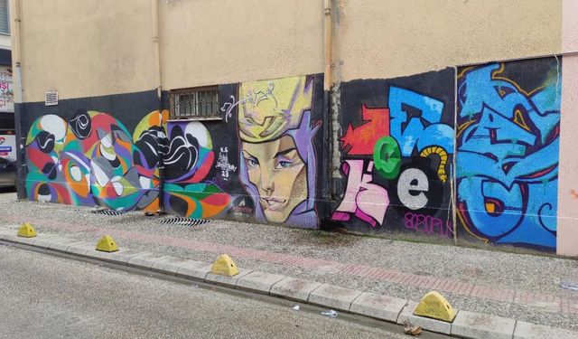 Ara sokaktaki grafiti vatandaşların beğenisini topluyor