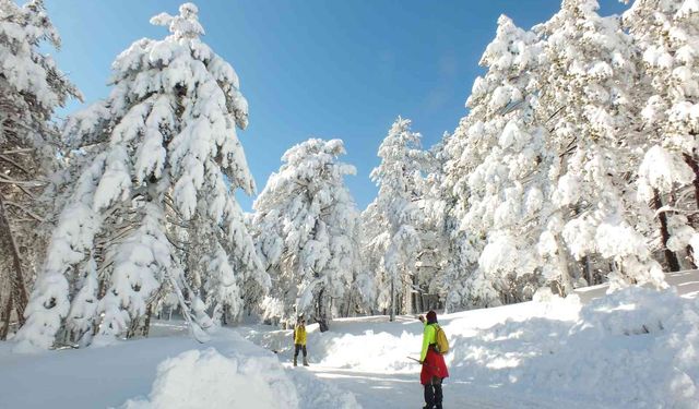 Beyazın büyüsü: Kışın kaz dağları'nda huzur dolu bir tatil deneyimi