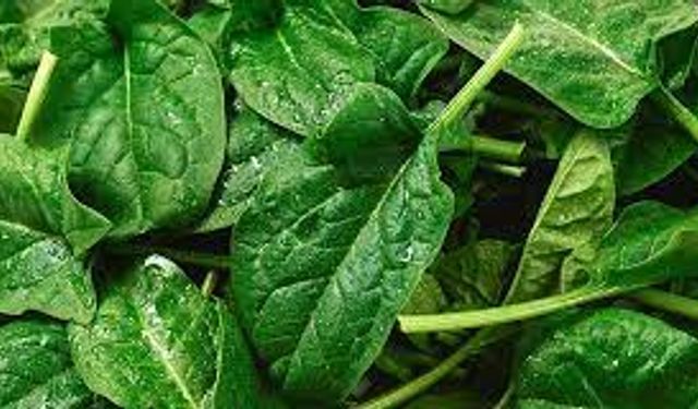 Ispanağın sağlığa yararları: Doğanın yeşil gücü