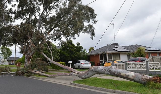 Avustralya'nın doğusunu fırtına vurdu: 64 bin kişi elektriksiz