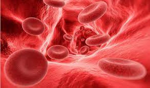 Hemofili ve diğer kan hastalıkları: Güçlü bir yaşam için başa çıkma stratejileri