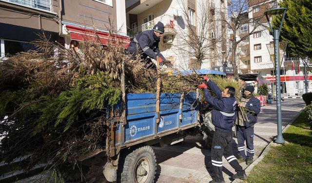 Yunusemre’de budanan ağaçlar ihtiyaç sahiplerinin evlerini ısıtıyor