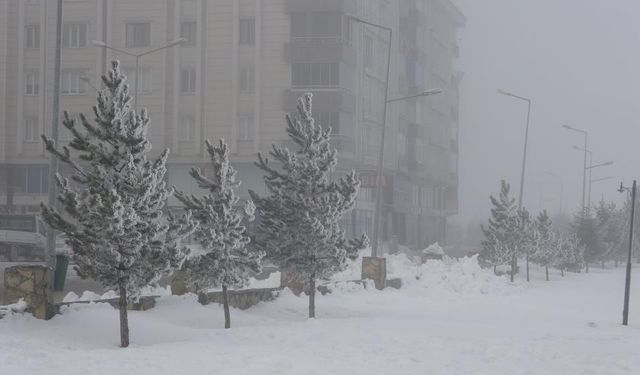 Ardahan'da dondurucu soğuklar hayatı durma noktasına getirdi