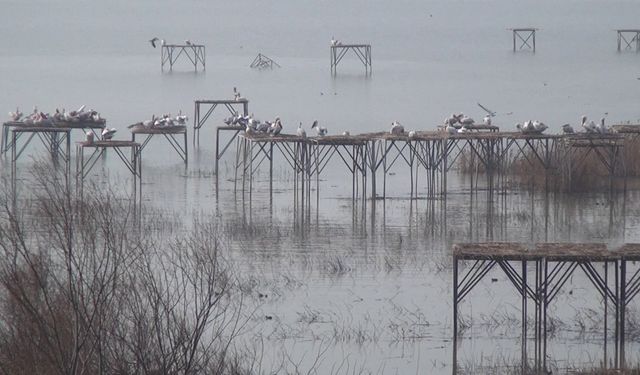 Dünya Sulak Alanlar Günü Kuş Cenneti Milli Parkı’nda kutlandı