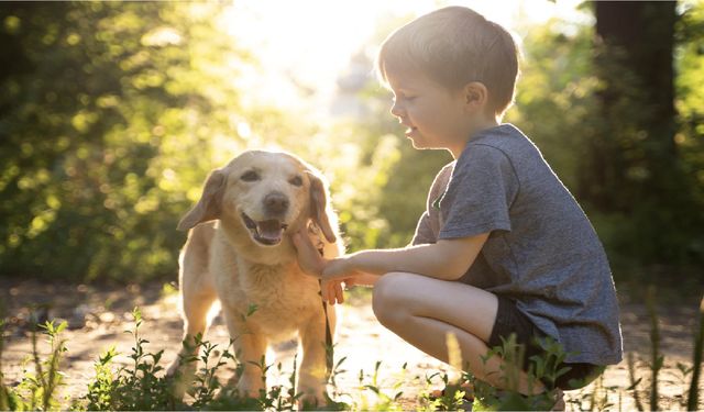 Çocuklara hayvan sevgisini aşılama empatiyi geliştirir, sorumluluk bilincini artırır