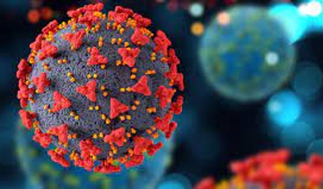 Rota virüsü: Küçük bedenlere büyük tehlike