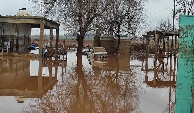 Şanlıurfa'da kırsal mahalleler sel suları altında kaldı