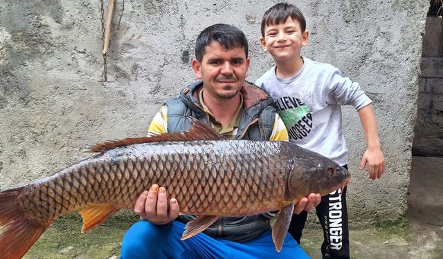 İznik Gölü'nde 25 kiloluk sarı balık yakalandı
