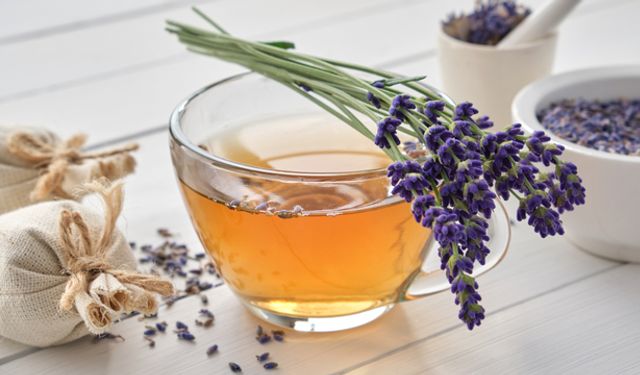 Lavanta çayı: Sağlık için doğal bir destek
