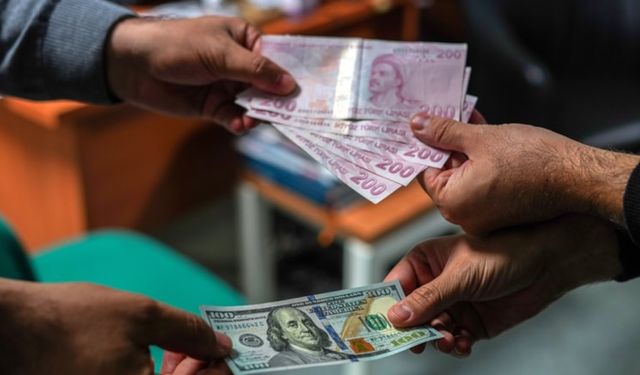 Merkez Bankası'nın dolar, enflasyon ve faiz anketi açıklandı