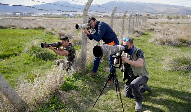 Aladağlar Milli Parkı ve Niğde Akkaya Barajı, kuş fotoğrafçılarının mekanı oldu