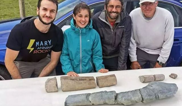 11 yaşındaki kız 202 milyon yaşındaki fosili buldu