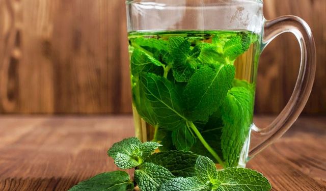 Nane çayı: Ferahlatıcı lezzeti ve sağlık dolu yararlarıyla bilge bitki