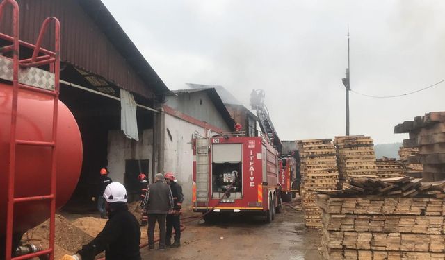 Orman ürünleri fabrikasında çıkan yangın panik yarattı