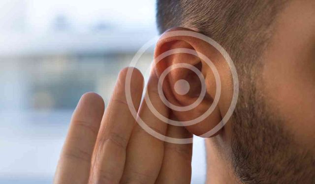 Kulak çınlaması araştırması: Stres ve gürültünün etkisi üzerine yeni bulgular