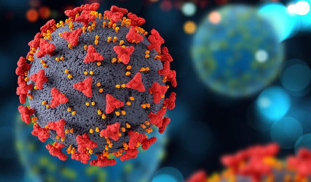 Rotavirüs: Küçük çocukları tehdit eden ciddi bir enfeksiyon