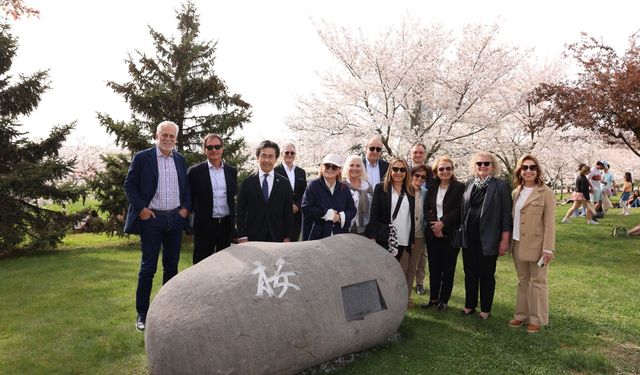 Sabancı Üniversitesi’nde Sakura Festivali ile Japonya rüzgarı esti
