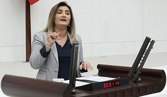 CHP İzmir Milletvekili Sevda Erdan Kılıç: Anayasa taslağını yırtıp atın