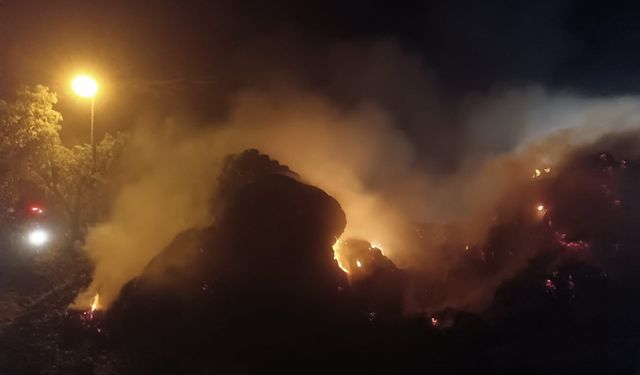 Bozdoğan'da çiftlikte çıkan yangın söndürüldü
