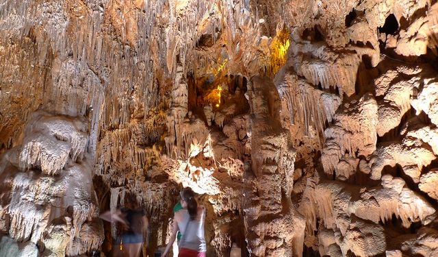 Doğanın en güzel hazinesi: Astım hastaları şifa buluyor