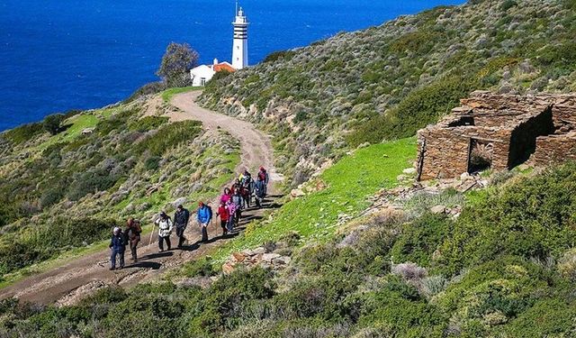 İzmir Yarımadası'nda Kaçırılmayacak Bir Rota: Efes-Mimas Yolu