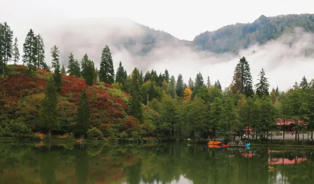 Doğanın kalbi Artvin: Yeşilin binbir tonunu keşfedin