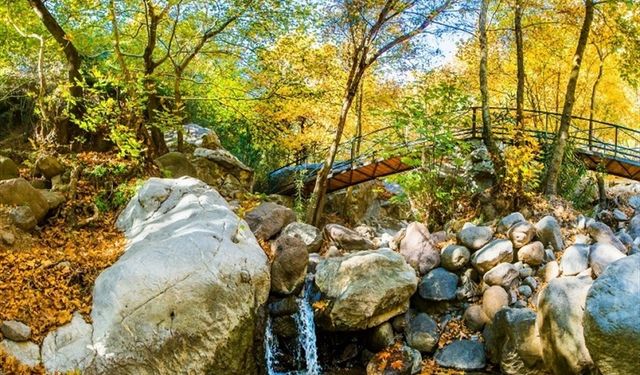 İzmir’de doğa ve mitolojinin buluştuğu nokta: Aileler sonbaharın tadını burada çıkarıyor