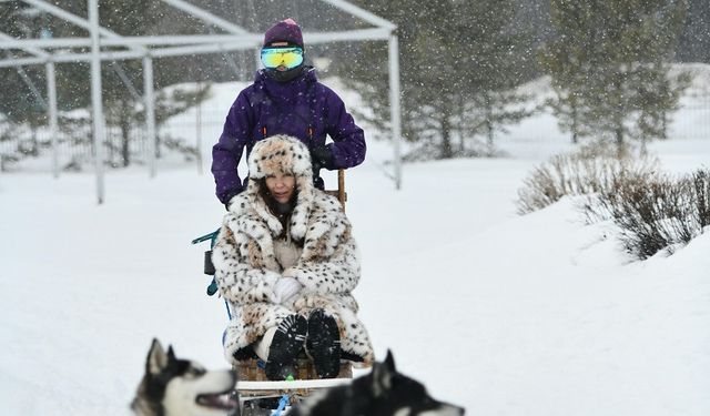 Alaska Taktiği | -40 Derecede bile üşümeyeceksiniz! Sadece 3 bitki yetiyor