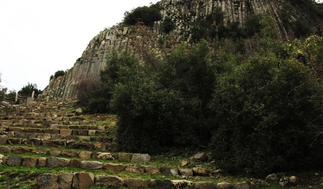 Peri bacalarından daha çok dikkat çekiyor: Doğanın muhteşem matematiği