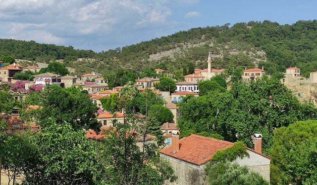 Zeytin ağaçlarıyla süslü Kaz Dağları’nın en sakin köyü! Görenler burada yaşamak istiyor