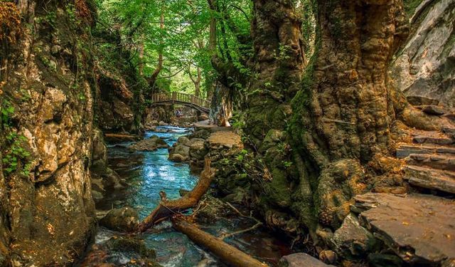 Tertemiz havası ile içinde hazine saklıyor! Kampçısından fotoğrafçısına herkes buraya akın ediyor