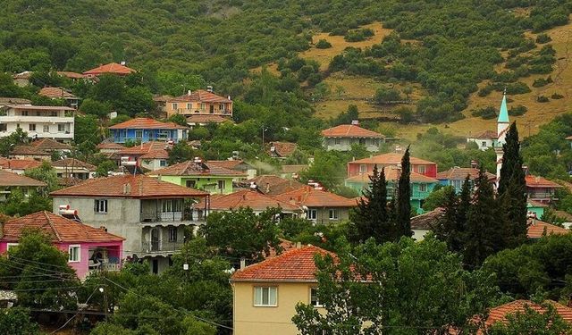 Ölmez ağacın gölgesinde Ayvalık’ın şirin köyü! Temiz havasına ve yerel lezzetlerine bayılacaksınız