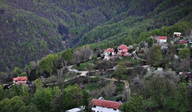 Uludağ'ın eteklerinde asırlık köy: Manzarası ve hikayesiyle büyülüyor