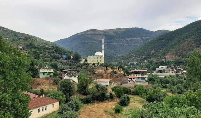 Evliya Çelebi’nin “Ovalarından bal, dağlarından yağ akar” diye tanımladığı Aydın’ın en şirin köyü: Doğasıyla cezbediyor