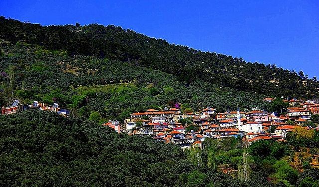 İzmir’de balı ile meşhur, çiçeklerin süslediği en şirin dağ köyü!